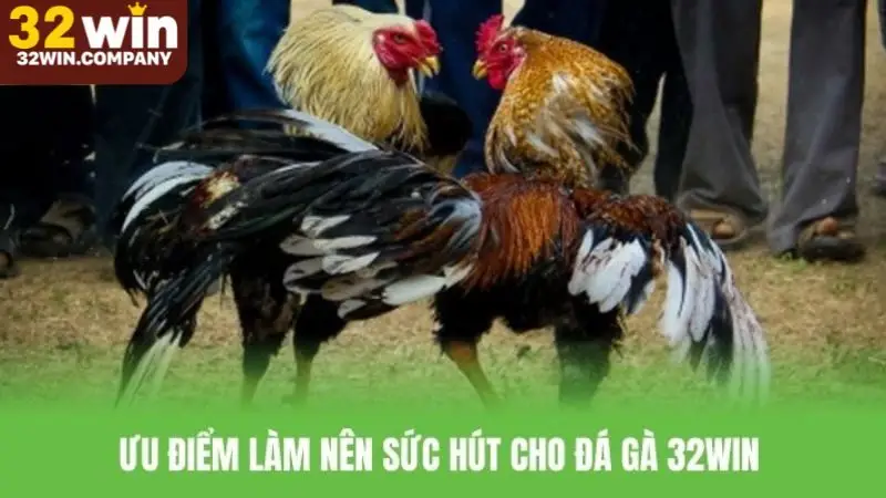 Những ưu điểm nổi bật của đá gà 32win trực tuyến
